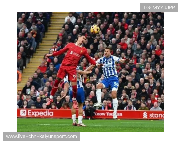 布莱顿战利物浦比赛中攻防精彩交替