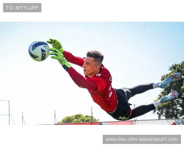 本菲卡定位球战术再次奏效