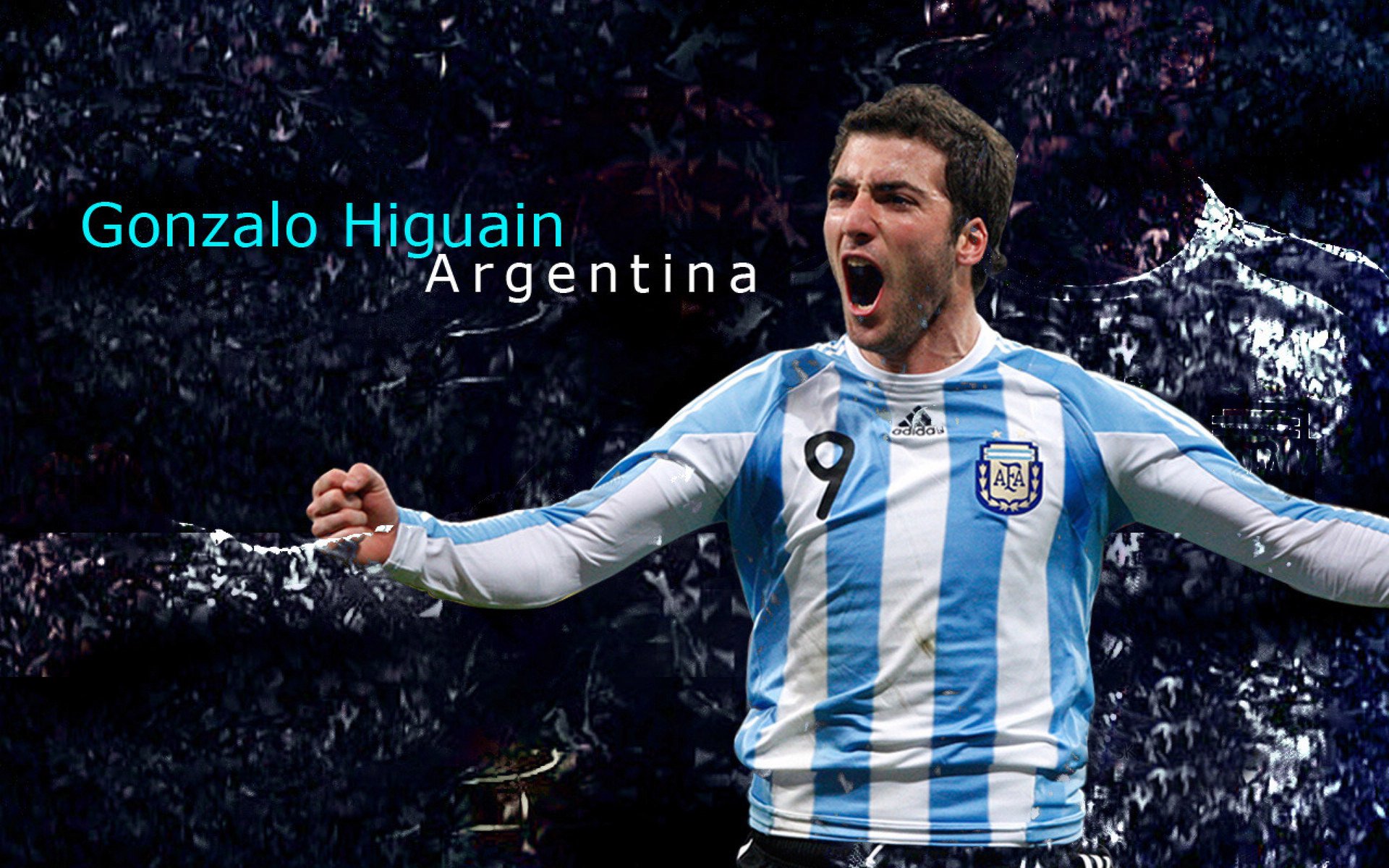 荷兰女队蝶泳速度惊艳全场,荷兰女游泳运动员